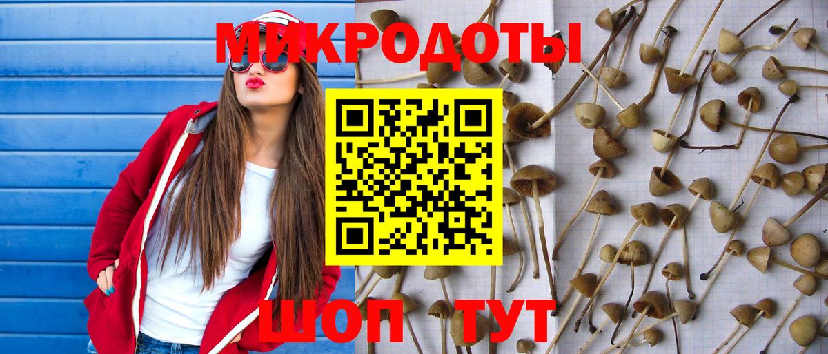 Галлюциногенные грибы мицелий Чехов