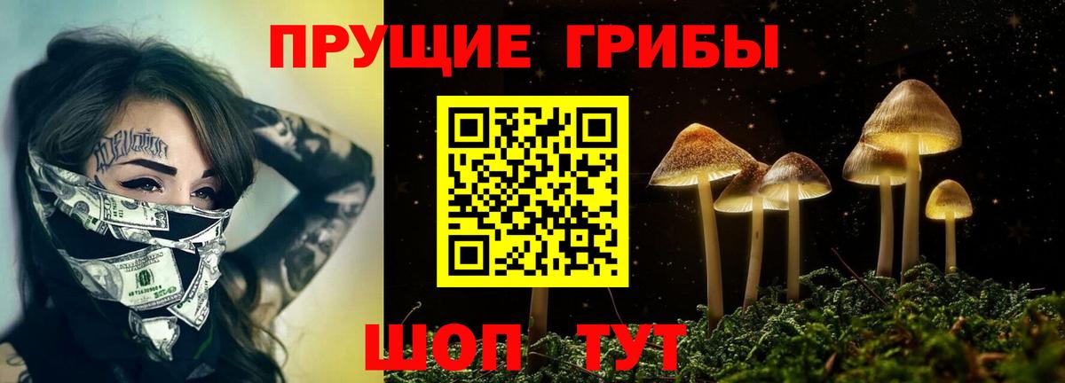 купить закладку  Вход с VPN  Галлюциногенные грибы Psilocybe  Чехов  Галлюциногенные грибы мухоморы 